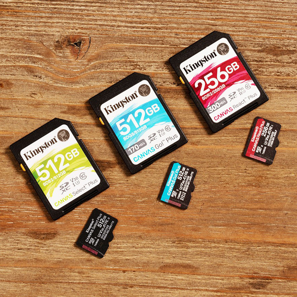 Kingston Memory Card Canvas Go Plus (SDCG3/128GB) - 128GB, MicroSDXC, Class 10